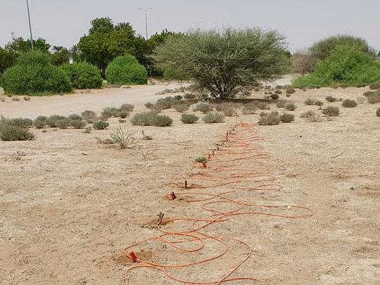 Exploring the Hidden Heritage of Al Ain