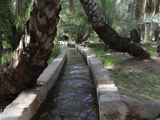 Exploring the Hidden Heritage of Al Ain
